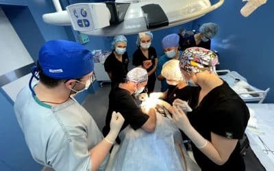 Transplantace vlasů v Kyjevě na klinice Anacosma